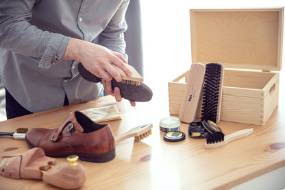 Complete Shoe Cleaning and Care Kit