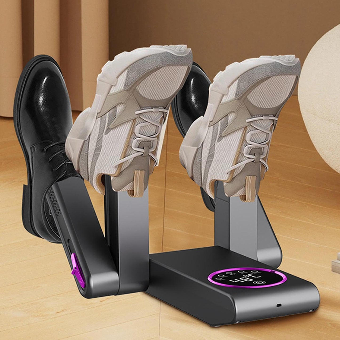 Electric shoe dryer