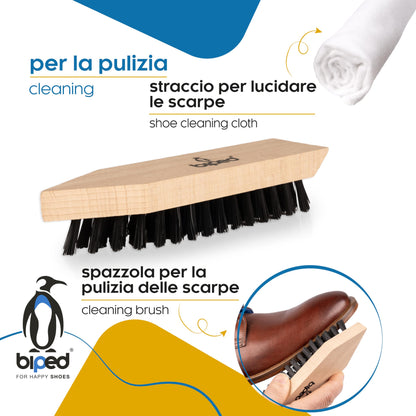 Classic Shoe Brush Set