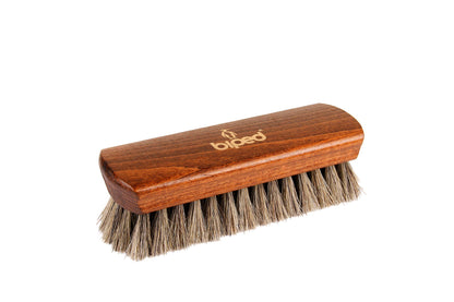 Shoe Brush Set